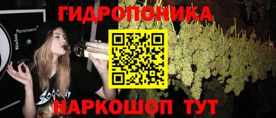 стаф Моздок