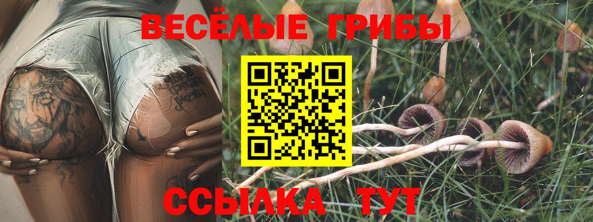 Ялта  Псилоцибиновые грибы мицелий  Вход с VPN 